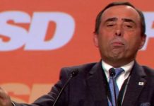 Eurodeputado do PSD Álvaro Amaro substituído no Comité das Regiões