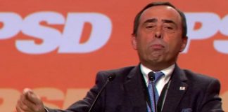 Eurodeputado do PSD Álvaro Amaro substituído no Comité das Regiões