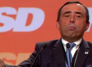 Eurodeputado do PSD Álvaro Amaro substituído no Comité das Regiões