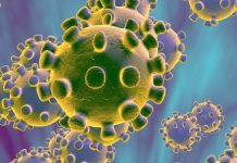Serviços de Inteligência dos EUA descartam criação do vírus como arma biológica