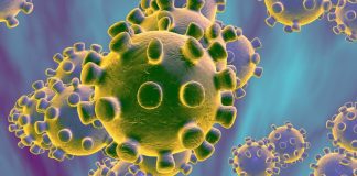 Covid-19 já provocou mais de 23 mil mortes e 505 mil infeções em todo o mundo