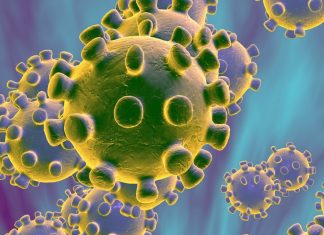 Serviços de Inteligência dos EUA descartam criação do vírus como arma biológica