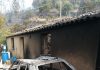 Aprovado programa de reordenamento das serras de Monchique e Silves, no Algarve