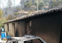 Aprovado programa de reordenamento das serras de Monchique e Silves, no Algarve