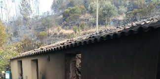 Aprovado programa de reordenamento das serras de Monchique e Silves, no Algarve