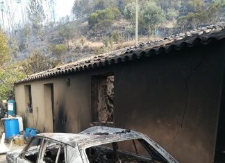 Aprovado programa de reordenamento das serras de Monchique e Silves, no Algarve