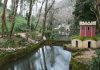 Parques de Sintra oferecem entradas gratuitas e publicações digitais aos mais novos no Dia da Criança