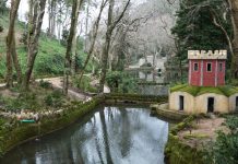 Parques de Sintra oferecem entradas gratuitas e publicações digitais aos mais novos no Dia da Criança