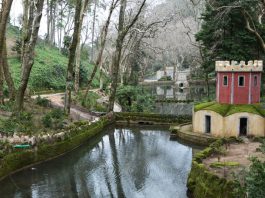 Parques de Sintra oferecem entradas gratuitas e publicações digitais aos mais novos no Dia da Criança