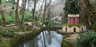 Parques de Sintra oferecem entradas gratuitas e publicações digitais aos mais novos no Dia da Criança