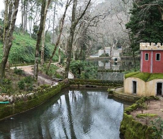Parques de Sintra oferecem entradas gratuitas e publicações digitais aos mais novos no Dia da Criança