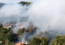 Incêndio deflagra em Cascais
