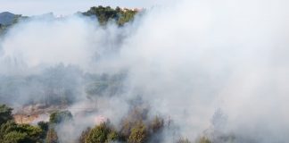 Incêndio deflagra em Cascais